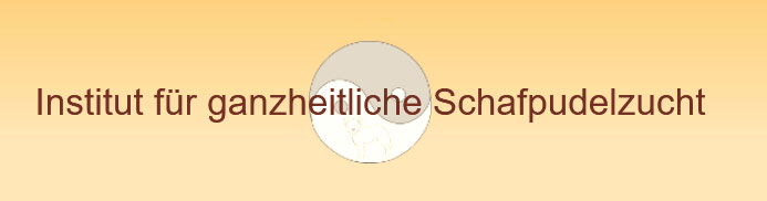 schafpudel-zucht-bayern-012